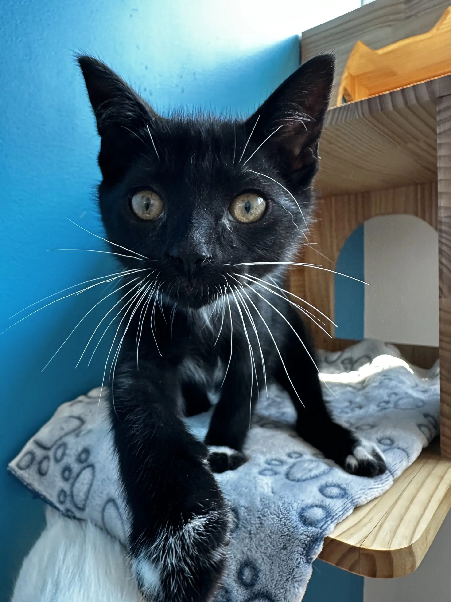 Salem