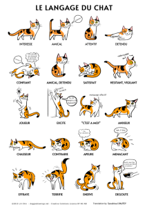 Le langage du chat